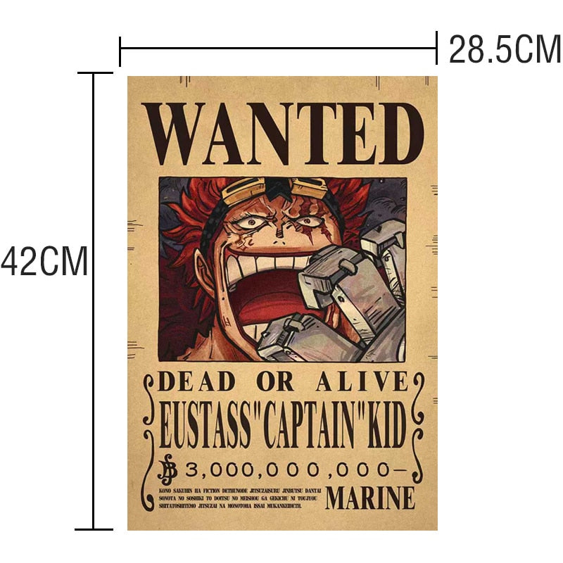 One Piece Bounty Posters